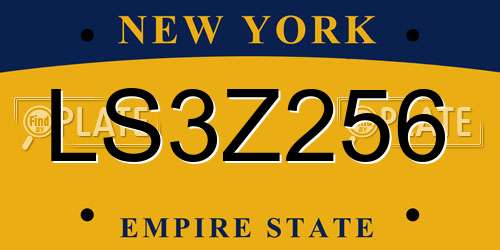 LS3Z256 New York License Plate