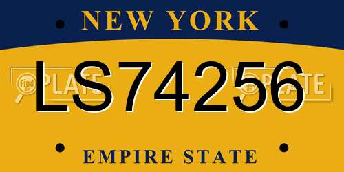 LS74256 New York License Plate