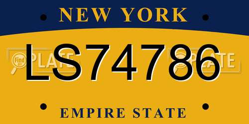LS74786 New York License Plate