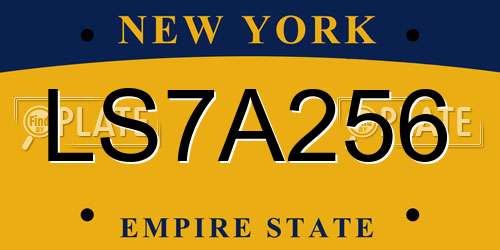 LS7A256 New York License Plate