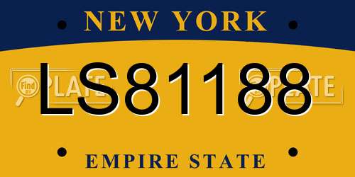 LS81188 New York License Plate