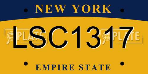 LSC1317 New York License Plate