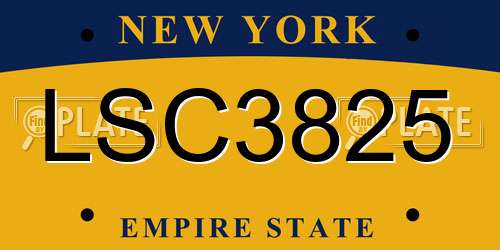 LSC3825 New York License Plate