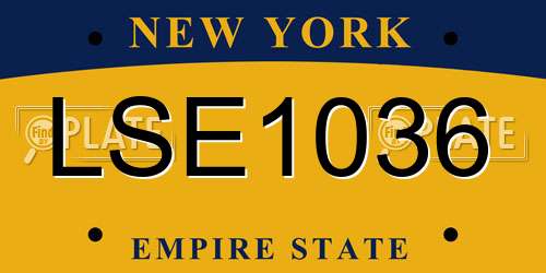 LSE1036 New York License Plate
