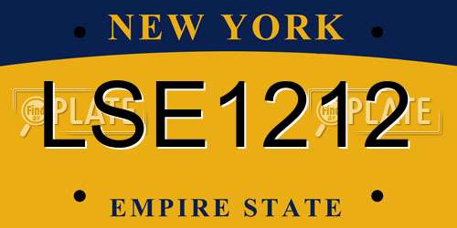 LSE1212 New York License Plate