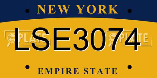 LSE3074 New York License Plate
