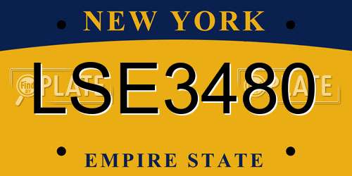 LSE3480 New York License Plate
