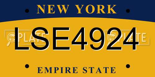 LSE4924 New York License Plate