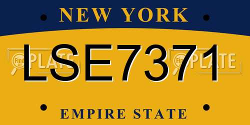 LSE7371 New York License Plate