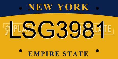 LSG3981 New York License Plate