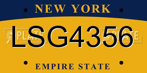 LSG4356 New York License Plate