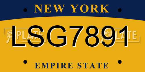 LSG7891 New York License Plate