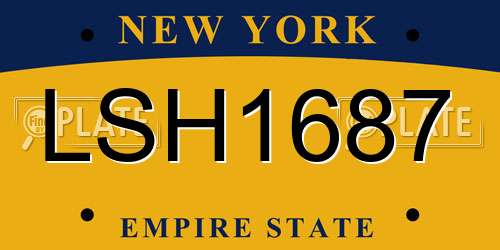 LSH1687 New York License Plate
