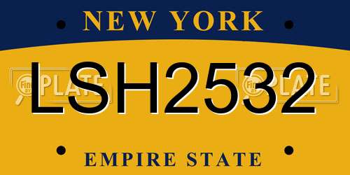 LSH2532 New York License Plate
