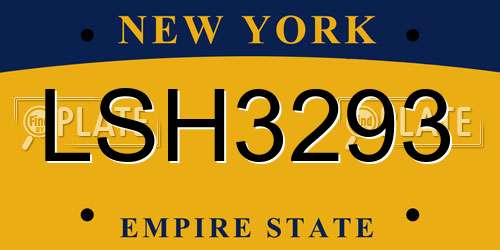 LSH3293 New York License Plate