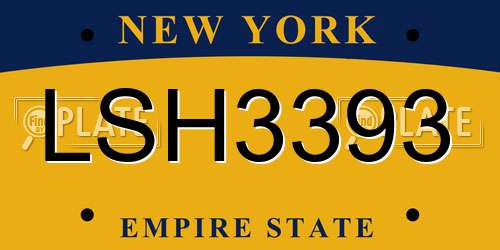 LSH3393 New York License Plate