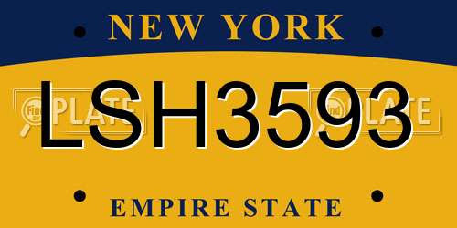 LSH3593 New York License Plate