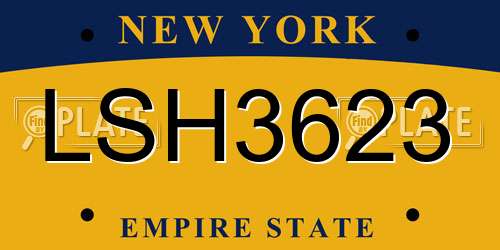 LSH3623 New York License Plate