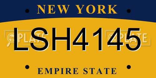 LSH4145 New York License Plate