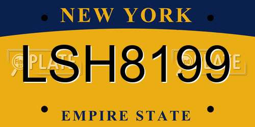 LSH8199 New York License Plate