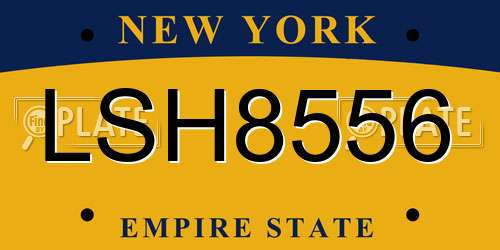 LSH8556 New York License Plate