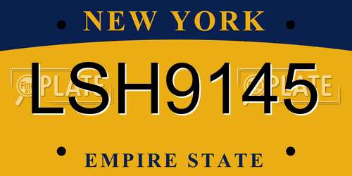LSH9145 New York License Plate