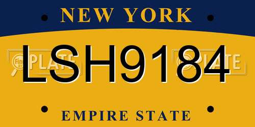 LSH9184 New York License Plate