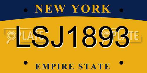 LSJ1893 New York License Plate