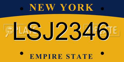 LSJ2346 New York License Plate
