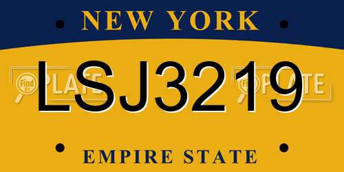 LSJ3219 New York License Plate