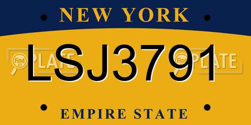 LSJ3791 New York License Plate