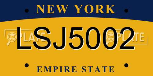 LSJ5002 New York License Plate