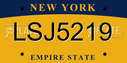 LSJ5219 New York License Plate
