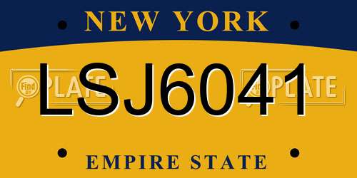 LSJ6041 New York License Plate