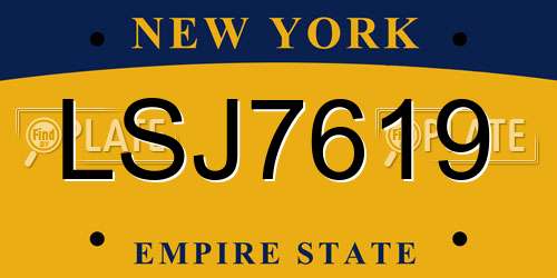LSJ7619 New York License Plate