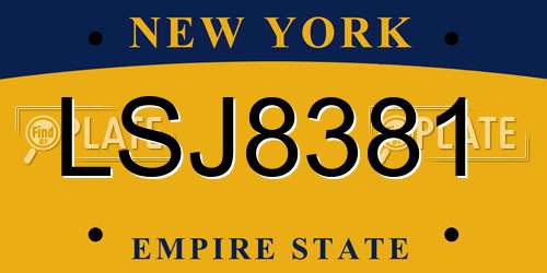LSJ8381 New York License Plate