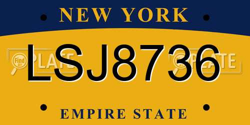 LSJ8736 New York License Plate