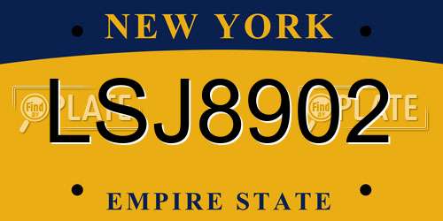 LSJ8902 New York License Plate