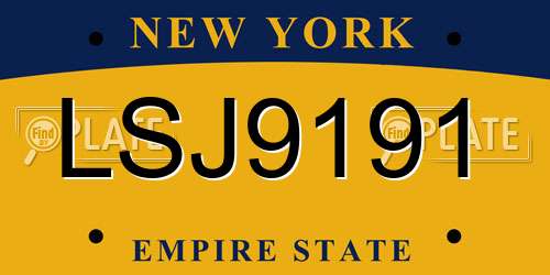 LSJ9191 New York License Plate