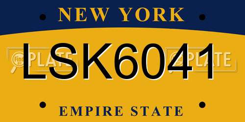 LSK6041 New York License Plate