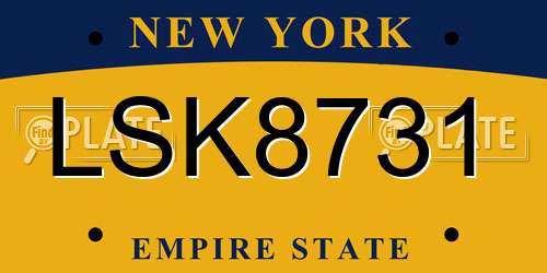 LSK8731 New York License Plate