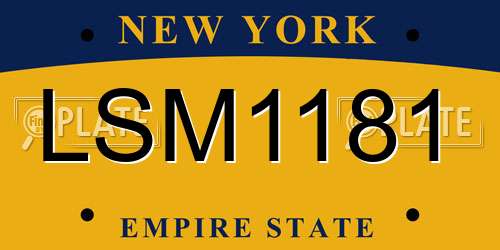 LSM1181 New York License Plate