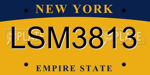 LSM3813 New York License Plate