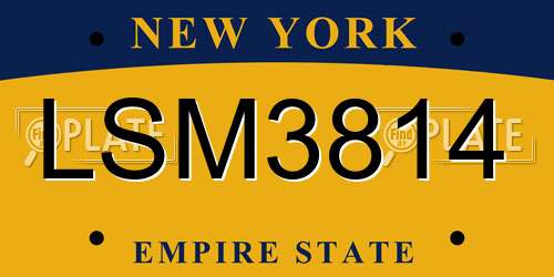 LSM3814 New York License Plate