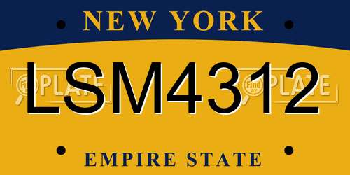 LSM4312 New York License Plate