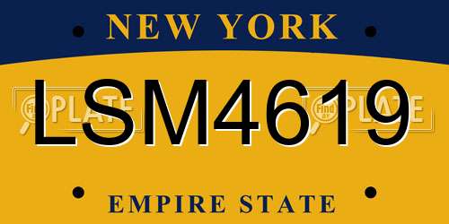 LSM4619 New York License Plate