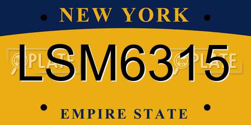 LSM6315 New York License Plate