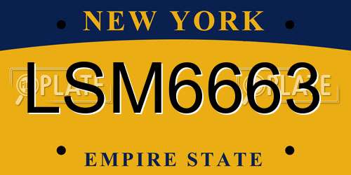 LSM6663 New York License Plate