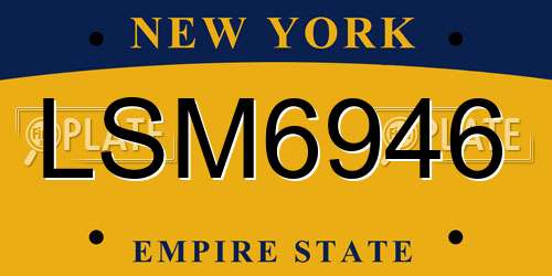 LSM6946 New York License Plate