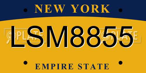 LSM8855 New York License Plate